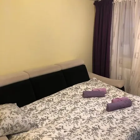 Holiday home Green Forest House Brasov