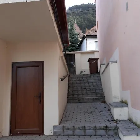 Green Forest House * Brasov